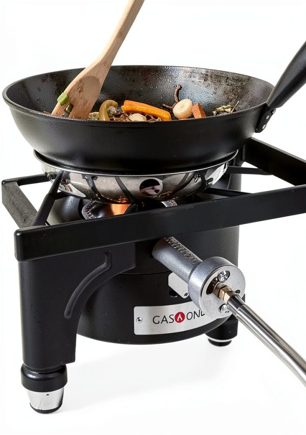 Propane Single Burner Camp Stove GasOne B-3000H-15 Red QCC Regulator-6